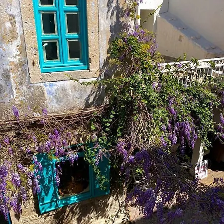 بيت ضيافة Windmill Koyici *